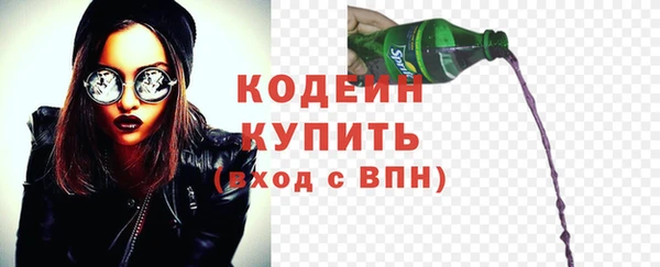 молекула духа Няндома