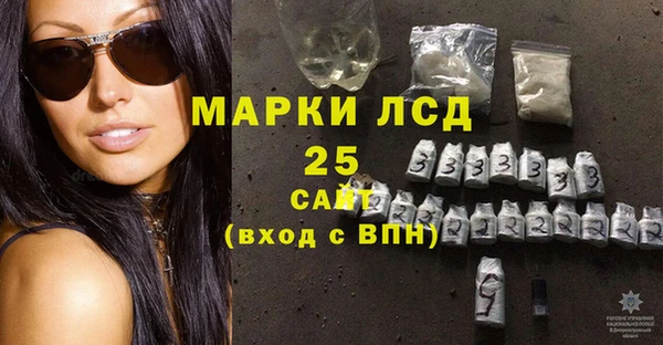 гидра Карпинск