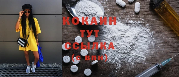 прущие грибы Козельск