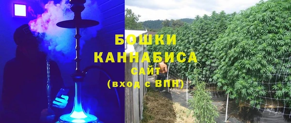 гидропоника Горняк