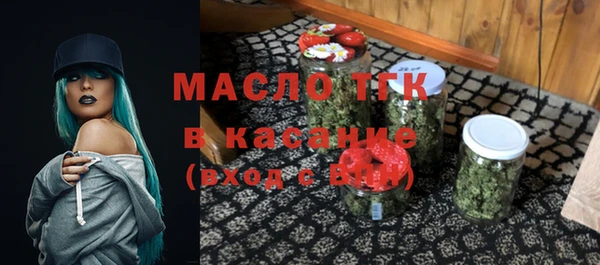 гидропоника Горняк