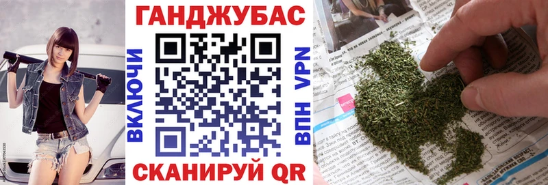 Каннабис сатива  Гвардейск 